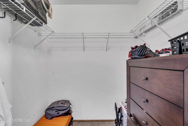1 Overlook Ct, Manchester, NJ 08759 - walk in closet featuring carpet floors