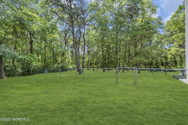 1 Overlook Ct, Manchester, NJ 08759 - view of yard