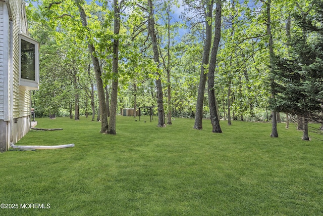 1 Overlook Ct, Manchester, NJ 08759 - view of green lawn