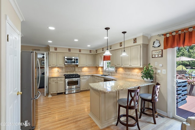 5 Persimmon Dr, Jackson, NJ 08527 - kitchen featuring stainless steel appliances, a peninsula, light wood finished floors, a sink, and crown molding