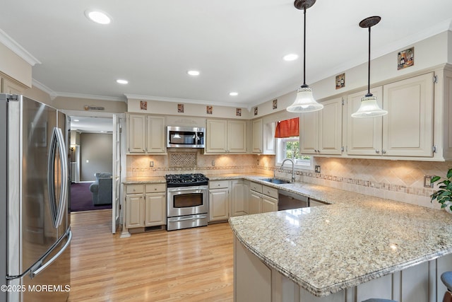 5 Persimmon Dr, Jackson, NJ 08527 - kitchen featuring appliances with stainless steel finishes, a sink, a peninsula, crown molding, and light wood-style flooring