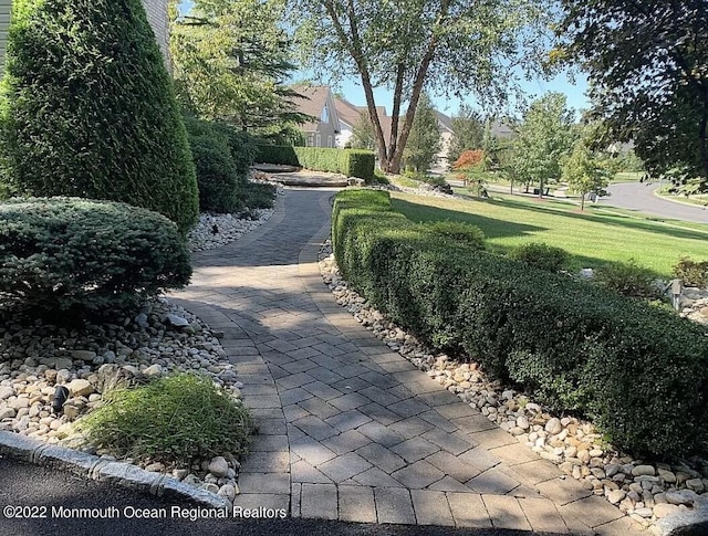 11 Elkridge Way, Manalapan, NJ 07726 - view of home's community featuring a yard