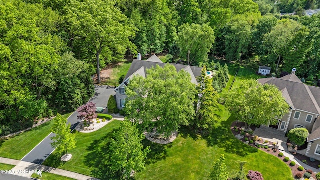 11 Elkridge Way, Manalapan, NJ 07726 - drone / aerial view