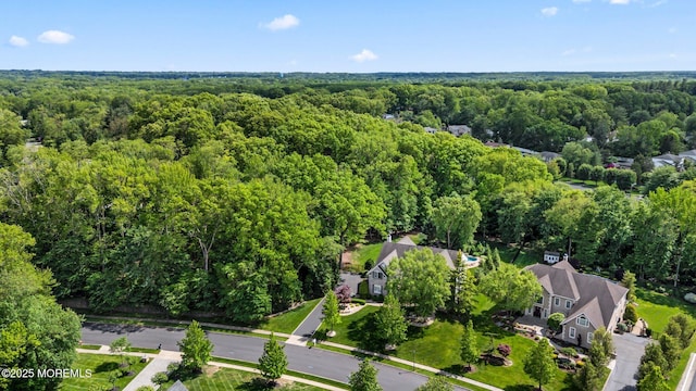 11 Elkridge Way, Manalapan, NJ 07726 - aerial overview of property's location with a forest