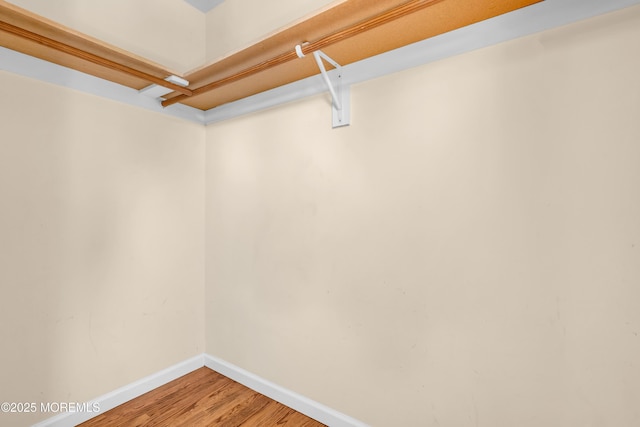 9 Fullerton Dr, Brick, NJ 08723 - walk in closet with light wood-type flooring