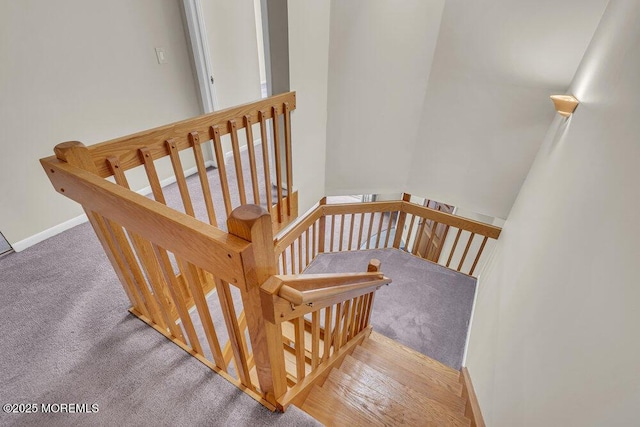 3 Black Pine Ln, Brielle, NJ 08730 - stairs featuring carpet floors and baseboards