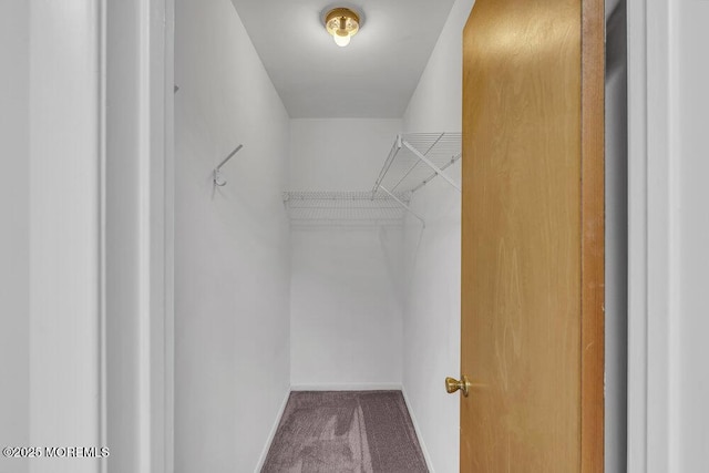 3 Black Pine Ln, Brielle, NJ 08730 - spacious closet with carpet