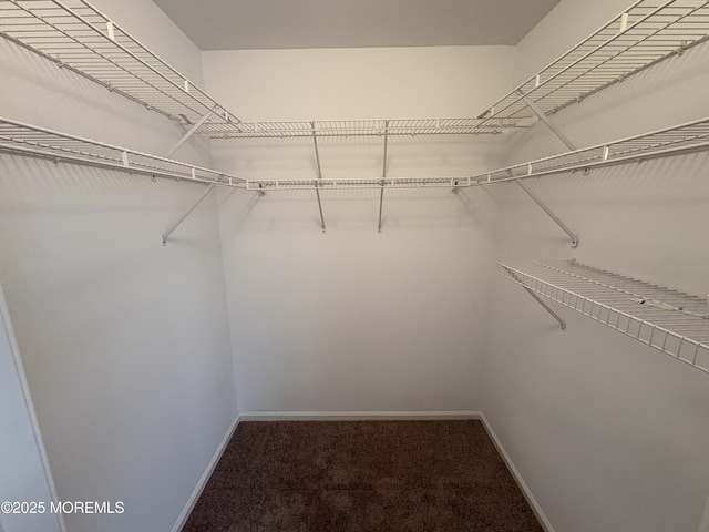 35 Deer Dr S, Barnegat, NJ 08005 - walk in closet with carpet floors