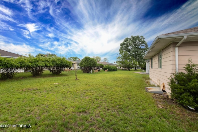 343 Barbados Dr N, Toms River, NJ 08757 - view of grassy yard