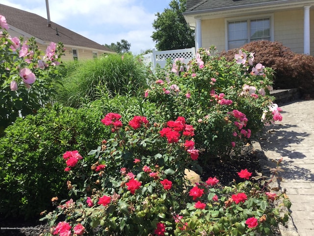 834 Leeward Dr, Forked River, NJ 08731 - view of yard
