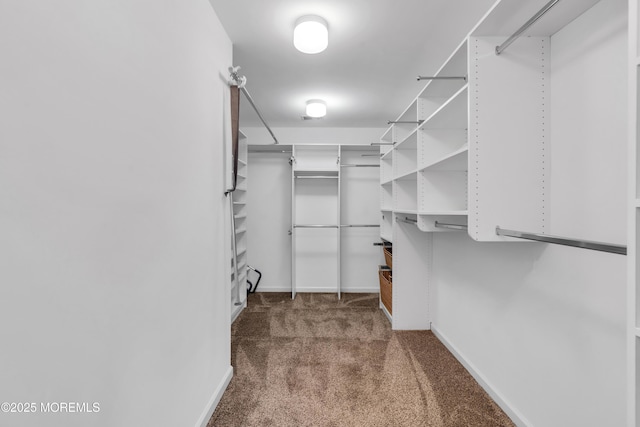 118 New York Ave, Point Pleasant Beach, NJ 08742 - walk in closet featuring carpet
