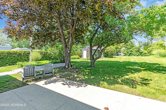 604 N Blvd, Lake Como, NJ 07719 - view of grassy yard with a patio, an outdoor structure, and view of wooded area