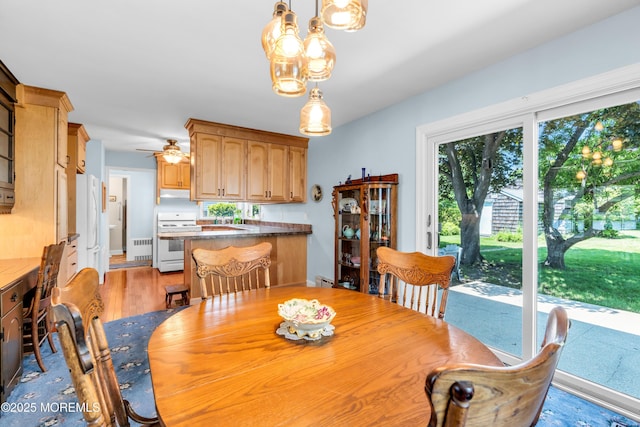 604 N Blvd, Lake Como, NJ 07719 - dining room with radiator, light wood finished floors, a chandelier, ceiling fan, and a baseboard radiator
