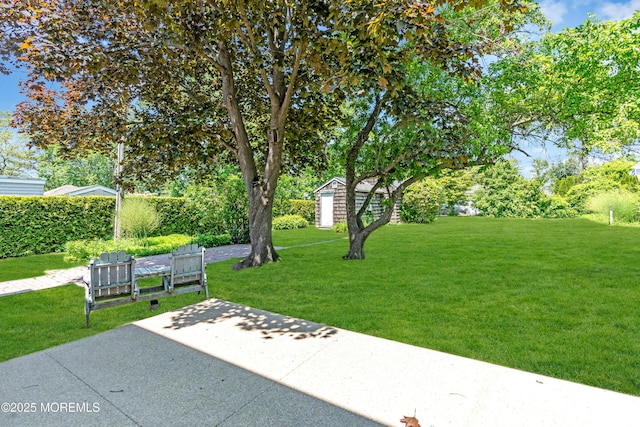 604 N Blvd, Lake Como, NJ 07719 - view of grassy yard featuring a patio and an outbuilding