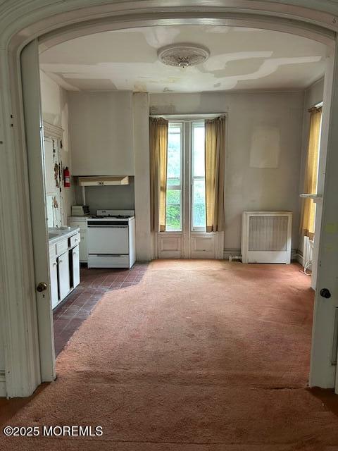 62 Washington St, Red Bank, NJ 07701 - unfurnished living room with dark carpet, arched walkways, and radiator heating unit