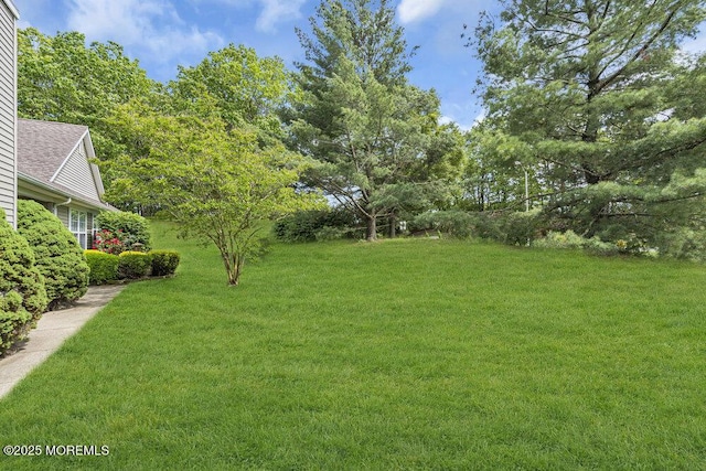 3167 Wood Spring Ln, Toms River, NJ 08755 - view of green lawn
