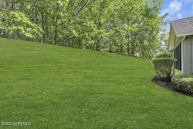 3167 Wood Spring Ln, Toms River, NJ 08755 - view of green lawn