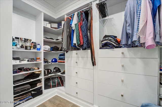 21 Northwoods Rd, Ocean Twp, NJ 07712 - walk in closet with wood finished floors