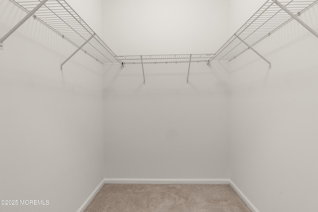 621 Mill Pond Way Unit 103, Eatontown, NJ 07724 - walk in closet featuring light colored carpet