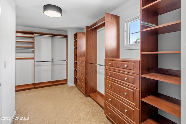 10 Woods Rd, West Long Branch, NJ 07764 - spacious closet featuring light carpet