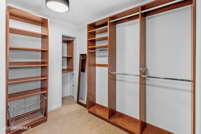 10 Woods Rd, West Long Branch, NJ 07764 - spacious closet with light carpet