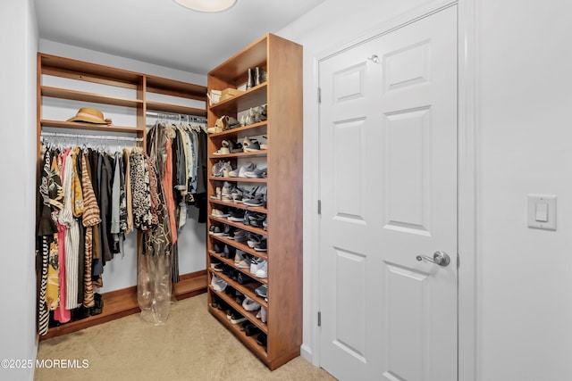 10 Woods Rd, West Long Branch, NJ 07764 - spacious closet with light carpet