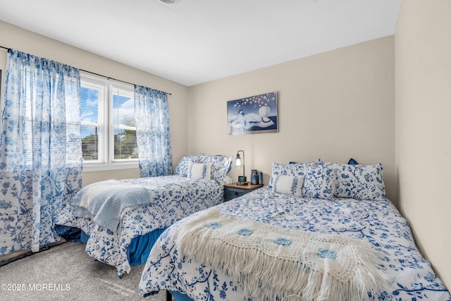 8 Brakenbury Ct, Toms River, NJ 08757 - bedroom with carpet flooring