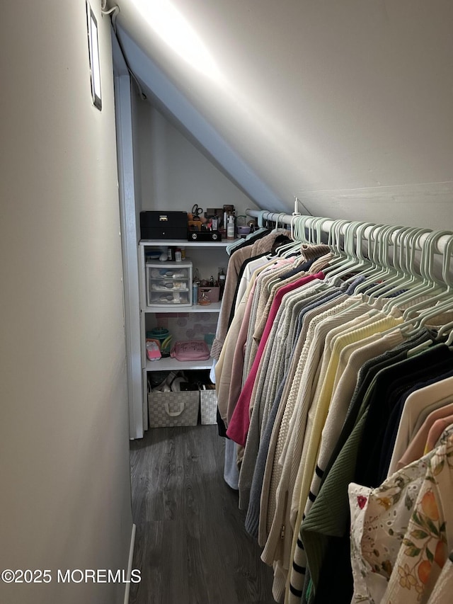 11 Jupiter Ct, South Amboy, NJ 08879 - walk in closet with dark wood-style floors and vaulted ceiling