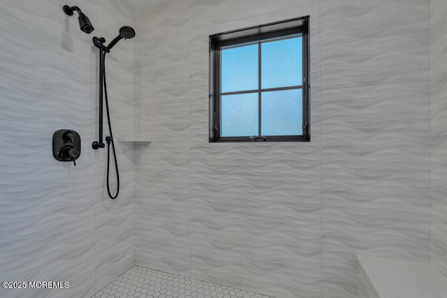 2110 Edgewood Pl, Spring Lake, NJ 07762 - bathroom view of a tile shower
