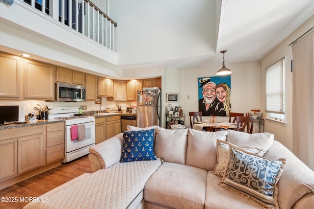 340 E Lacey Rd Unit 40, Forked River, NJ 08731 - living area featuring wood finished floors and a high ceiling