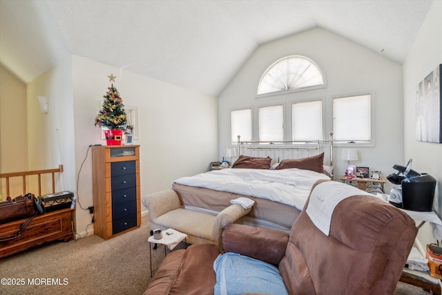 340 E Lacey Rd Unit 40, Forked River, NJ 08731 - bedroom with carpet flooring and vaulted ceiling