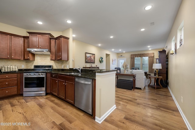 39 Addlestone Ln, Manchester, NJ 08759 - kitchen with appliances with stainless steel finishes, under cabinet range hood, a sink, a peninsula, and light wood-type flooring