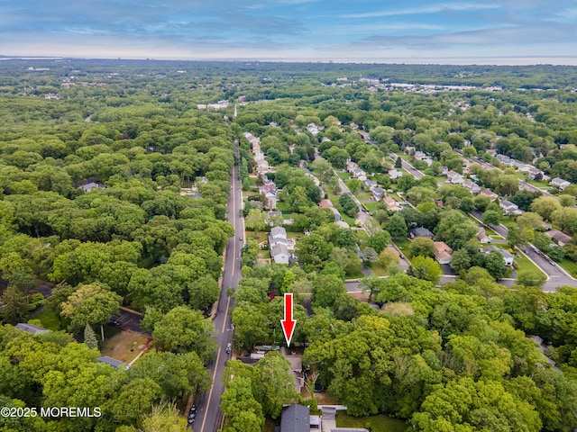 66 Cold Indian Springs Rd, Ocean Twp, NJ 07712 - aerial view