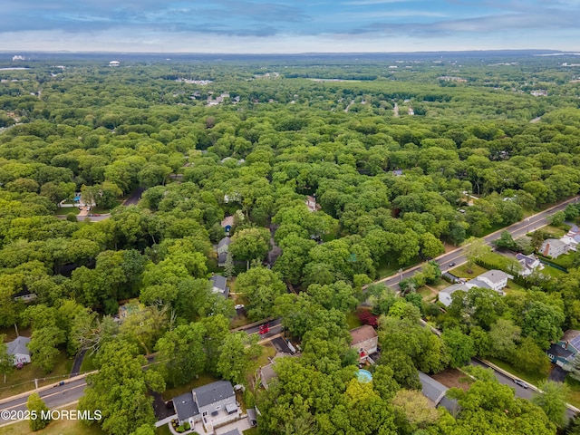 66 Cold Indian Springs Rd, Ocean Twp, NJ 07712 - bird's eye view of a forest