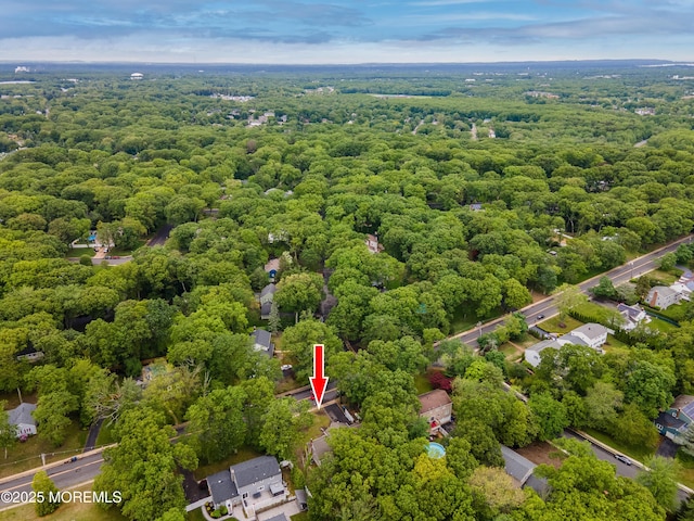 66 Cold Indian Springs Rd, Ocean Twp, NJ 07712 - drone / aerial view of a forest