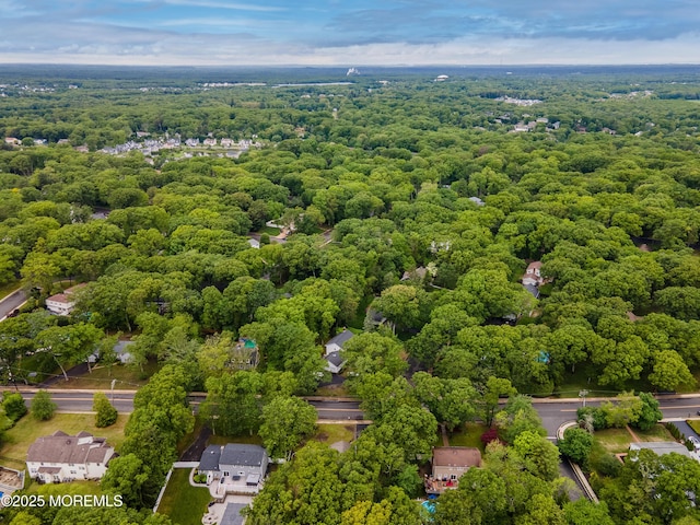 66 Cold Indian Springs Rd, Ocean Twp, NJ 07712 - aerial view of a forest