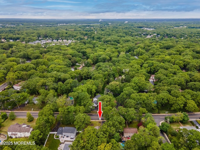 66 Cold Indian Springs Rd, Ocean Twp, NJ 07712 - drone / aerial view of a forest