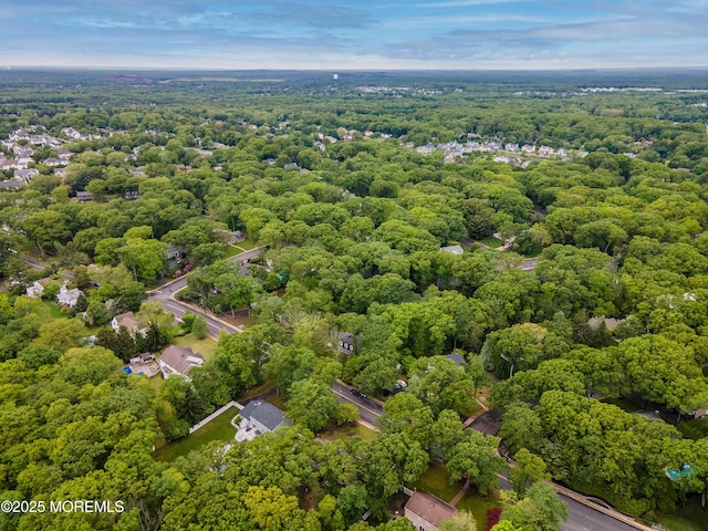66 Cold Indian Springs Rd, Ocean Twp, NJ 07712 - bird's eye view of a heavily wooded area