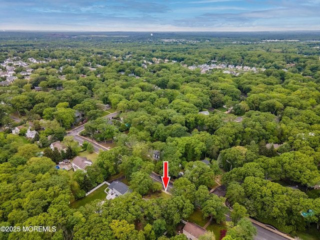 66 Cold Indian Springs Rd, Ocean Twp, NJ 07712 - drone / aerial view of a forest
