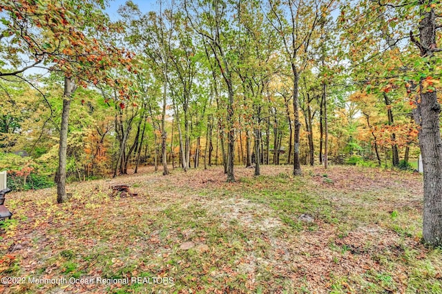 66 Cold Indian Springs Rd, Ocean Twp, NJ 07712 - view of yard
