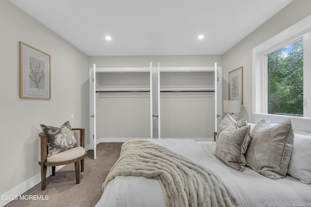 1117 Wake Forest Dr, Toms River, NJ 08753 - carpeted bedroom featuring multiple closets, recessed lighting, and baseboards