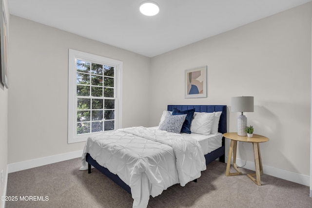 1117 Wake Forest Dr, Toms River, NJ 08753 - carpeted bedroom with baseboards