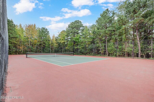 150 Nathan Dr, Morganville, NJ 07751 - photo 38