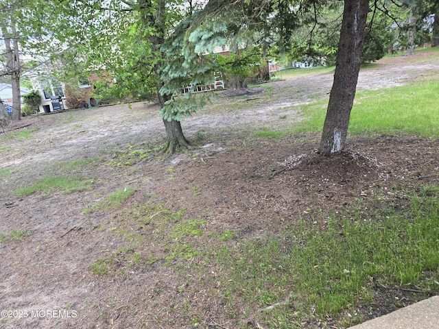 6 Conestoga Dr Unit A, Whiting, NJ 08759 - view of yard