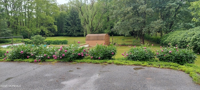 865 Windsor Perrineville Rd, East Windsor, NJ 08520 - view of yard