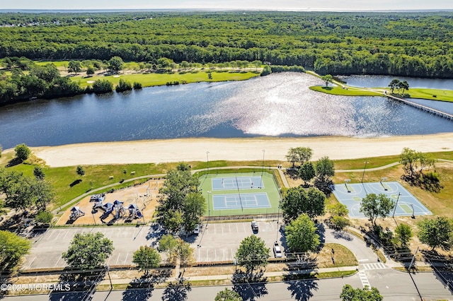 1015 Barnacle Dr, Manahawkin, NJ 08050 - aerial view of a forest and a large body of water