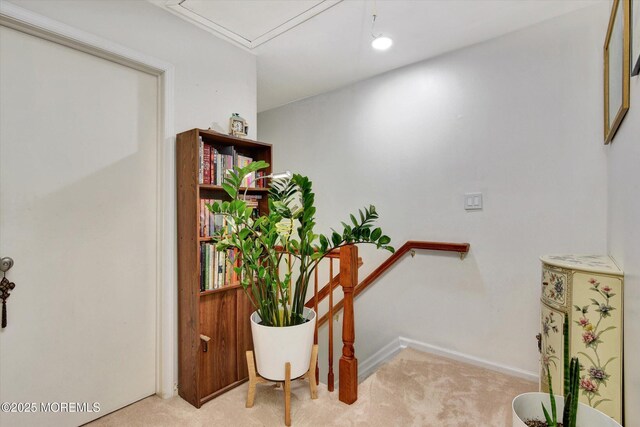 104 Brewster Cir, Old Bridge, NJ 08857