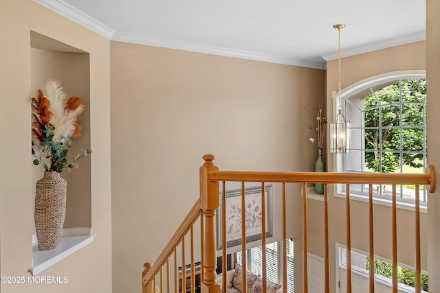 62 Pleasant Valley Rd, Morganville, NJ 07751 - photo 30