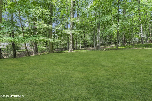 49 Crane Ct, Middletown, NJ 07748 - view of grassy yard