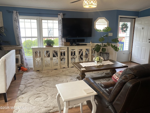 89 Seattle Slew Dr, Howell, NJ 07731 - living room featuring ornamental molding and wood finished floors